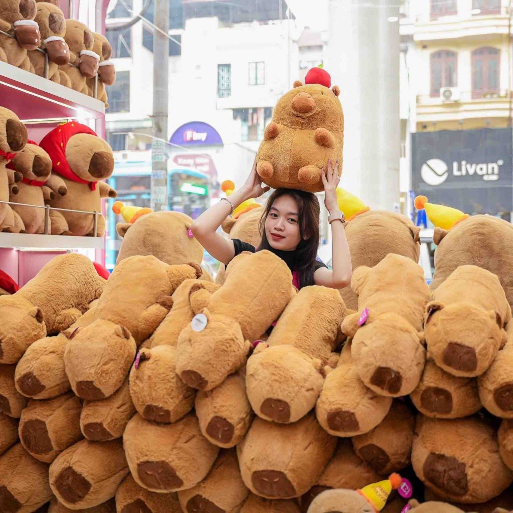 ベトナム土産 ハンドメイド布製カバのぬいぐるみ なぜ今カピバラがベトナムの若者に愛される?その理由は癒し効果